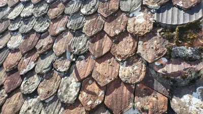 20250830_132247 (Foto: Janine Scherrer) 20250830_132247 (Foto: Janine Scherrer)