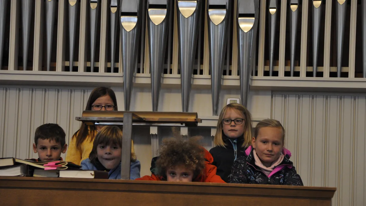 2020 MiniChileLager_Fotos_HansUlrich_Schenkel (33) (Foto: Hans Ulrich Schenkel) 2020 MiniChileLager_Fotos_HansUlrich_Schenkel (33) (Foto: Hans Ulrich Schenkel)